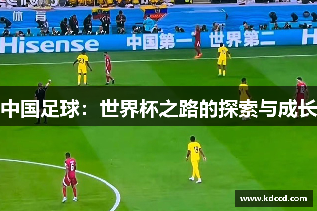 中国足球：世界杯之路的探索与成长